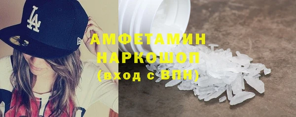 ПСИЛОЦИБИНОВЫЕ ГРИБЫ Дмитриев