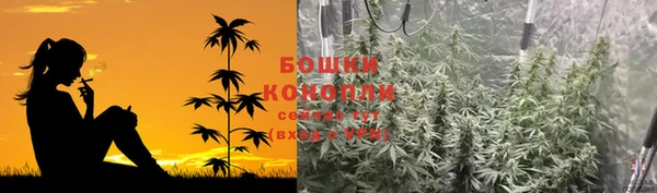 мдпв Медногорск