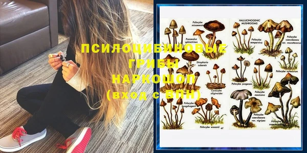 эйфоретик Михайловка
