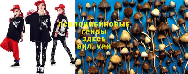 спайс Михайловск