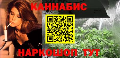 прущие крисы Гай