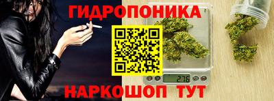 прущие крисы Гай