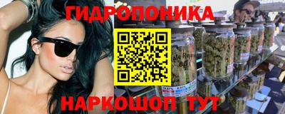 прущие крисы Гай