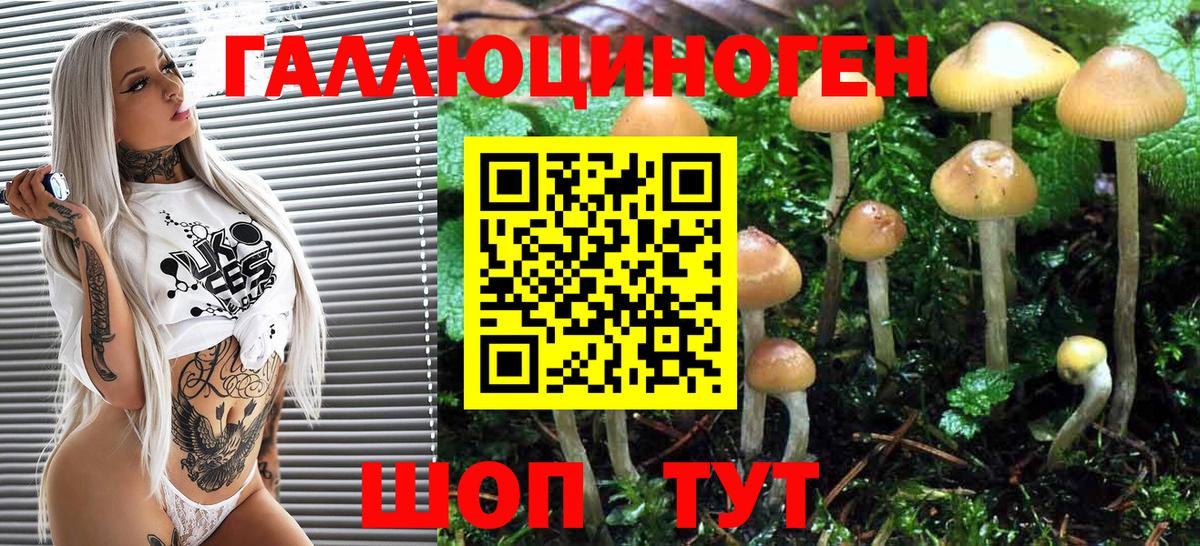 Галлюциногенные грибы ЛСД  Галлюциногенные грибы Cubensis  Джанкой 