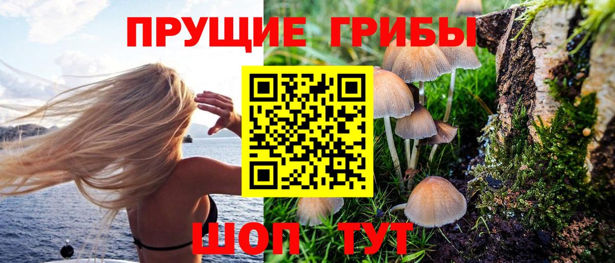 Псилоцибиновые грибы GOLDEN TEACHER  Вход с VPN  Джанкой 